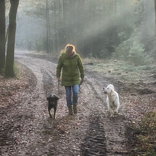 Wandelen met je hond en Stephen Covey